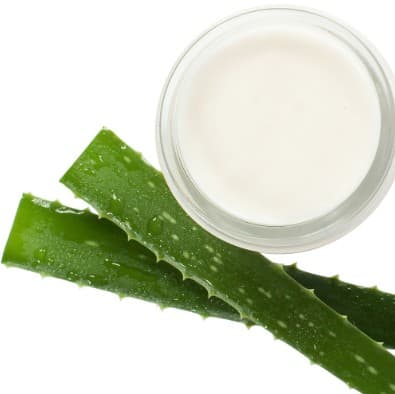 Coconut Body Lotion (Aloe Vera)